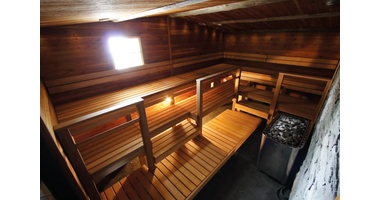 Harvia Club Profi Saunakachel (zonder besturing)